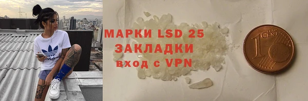 ПСИЛОЦИБИНОВЫЕ ГРИБЫ Беломорск