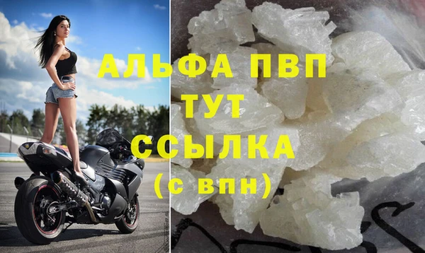 ПСИЛОЦИБИНОВЫЕ ГРИБЫ Беломорск
