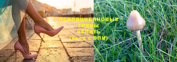 каннабис Белокуриха