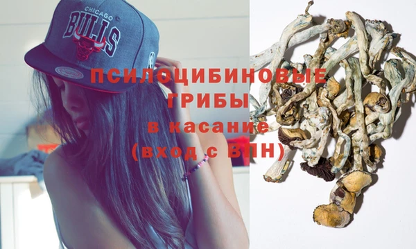 ПСИЛОЦИБИНОВЫЕ ГРИБЫ Беломорск